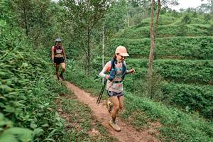 BIB: 
                            <button type="button" onclick="openModal(24878896)" class="btn btn-primary btn-sm float-right btn-popup" data-toggle="modal" data-target=".modal-high-quality">
                        <i class="fas fa-shopping-cart"></i> Add to Cart
                    </button>
                                            <button type="button" onclick="isThisMe(24878896, true)" class="btn btn-success btn-sm float-right btn-popup btn-isme hidden" data-toggle="tooltip" data-placement="bottom" title="นี่คือรูปของคุณใช่ไหม คลิกที่นี่เพื่อเอาเข้าอัลบั้ม">
                        <i class="fas fa-plus"></i> Add to album
                    </button>
                    <button type="button" onclick="isThisMe(24878896, false)" class="btn btn-warning btn-sm float-right btn-popup btn-isnotme hidden">
                        <i class="fas fa-ban"></i> Remove from album
                    </button>